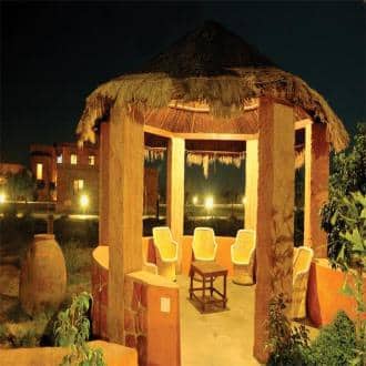 Explore Wilderness In Little Rann Of Kutch, Kutch 1